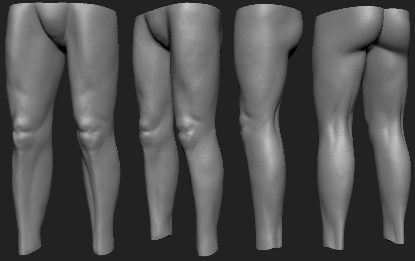 Leg01_2.jpg