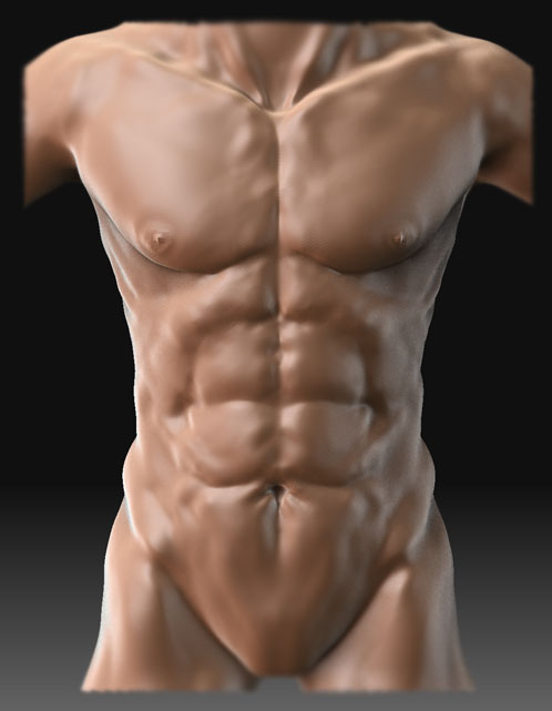 chest_2.jpg