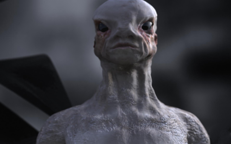 grey_800.jpg