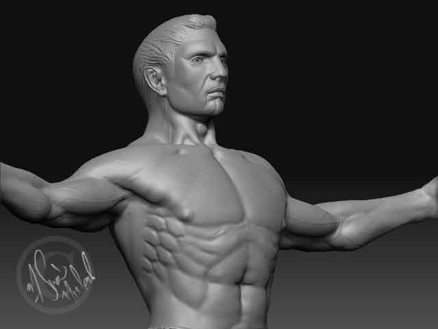 ribcage.jpg