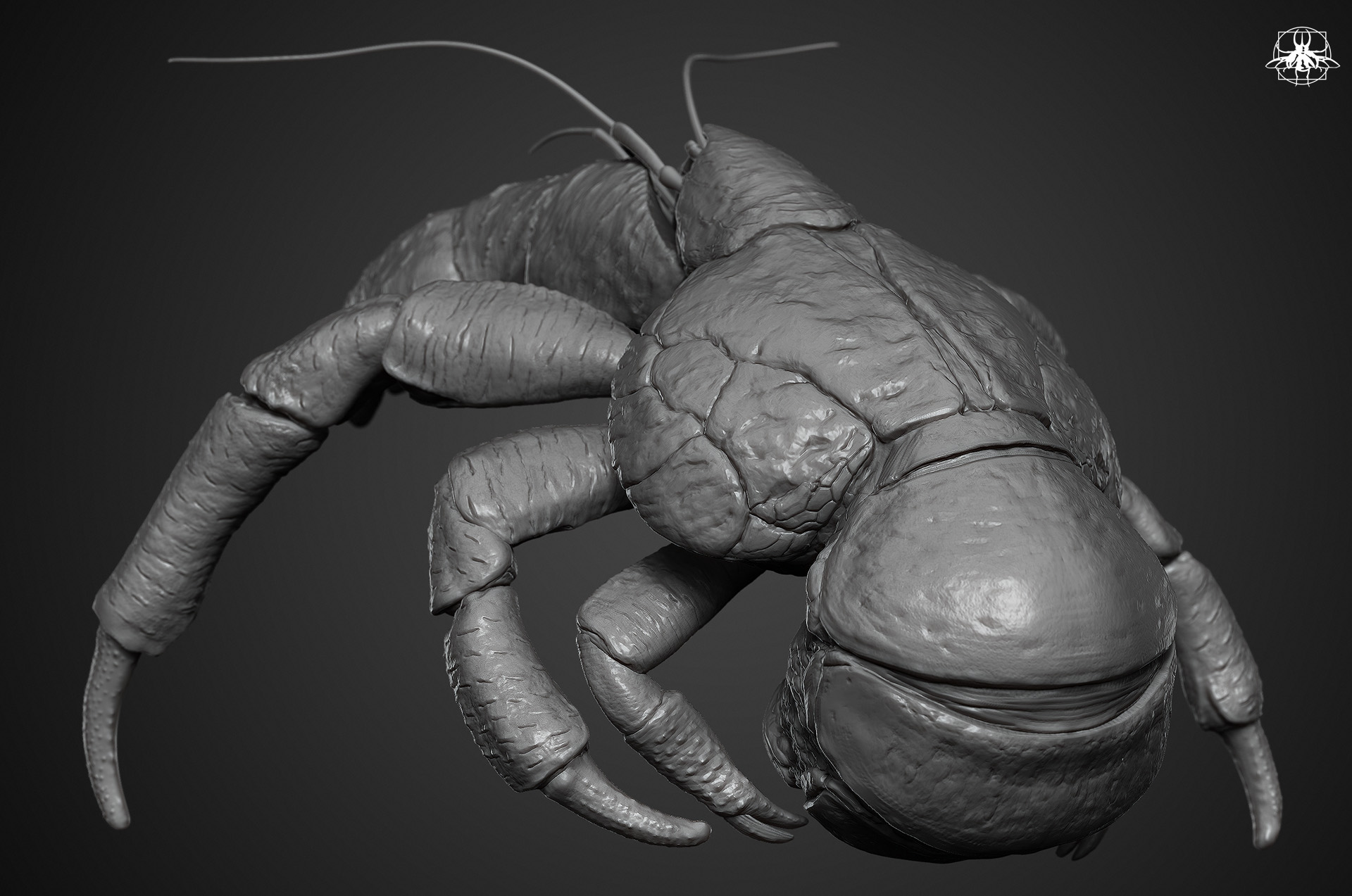 coconutCrab_04.jpg