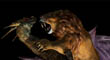 DRAGON TEXTURED 5.jpg