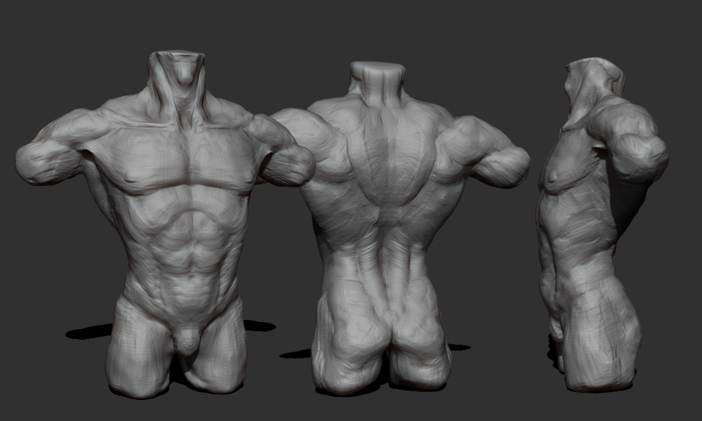 anatomical_study_03.jpg