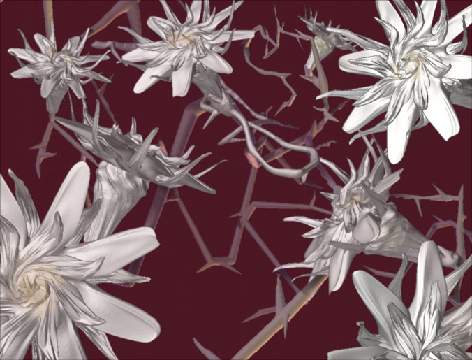 ThornFlowers.jpg