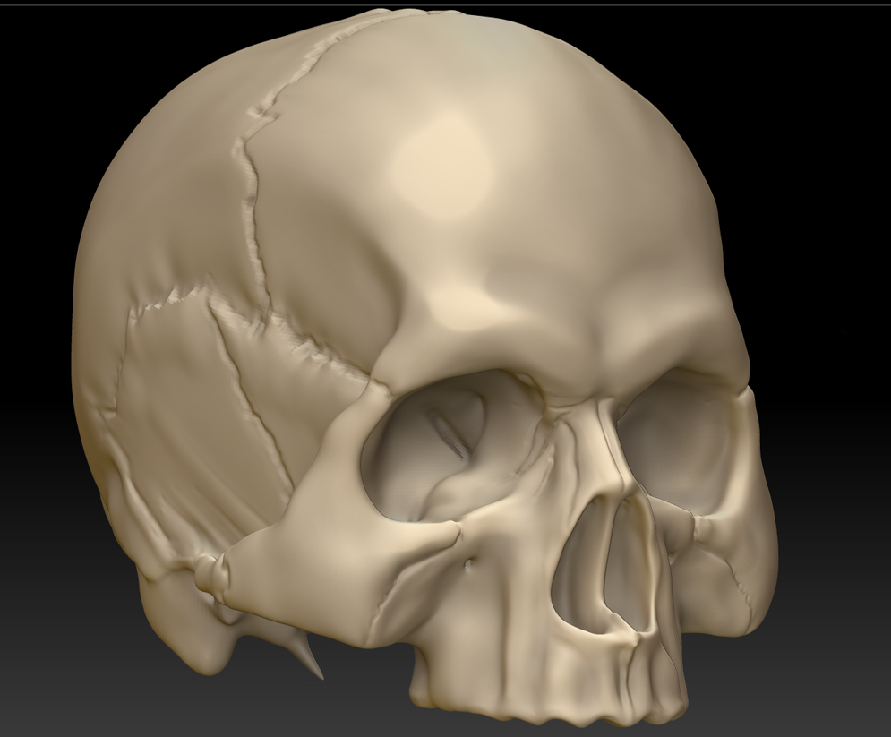 skull2.jpg