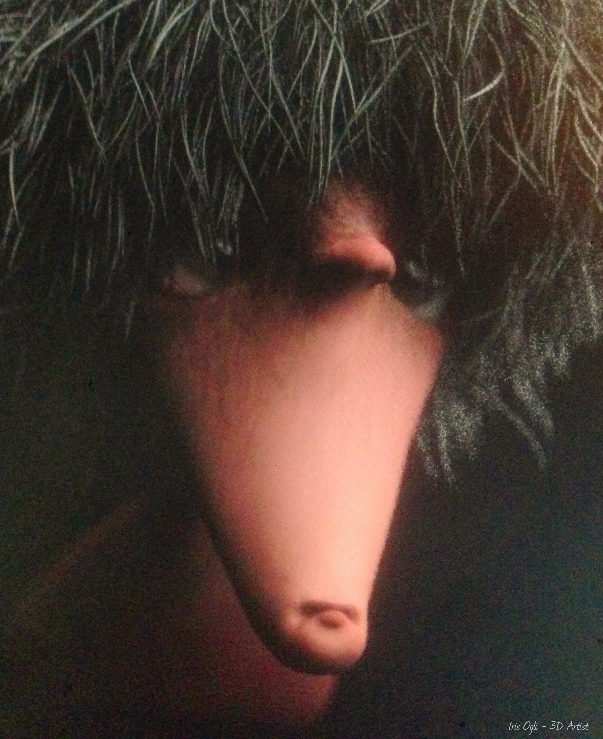 iris-ogli-iris-ogli-zbrush.jpg