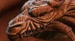DragonThumb2.jpg