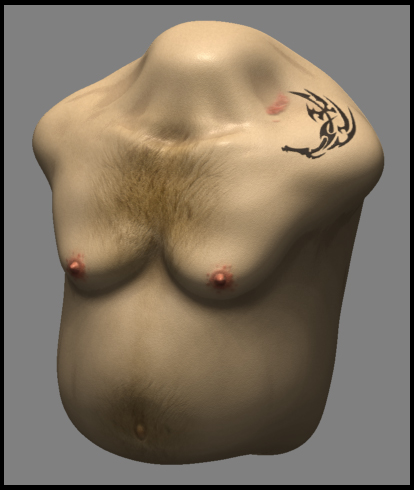 torsotex.jpg