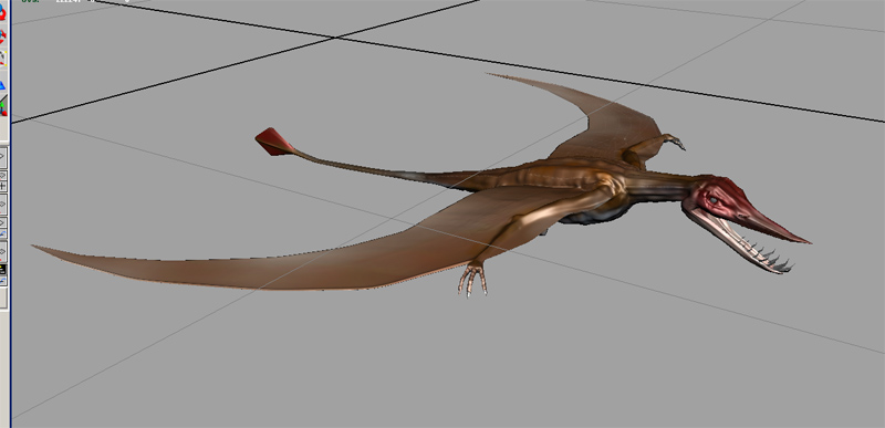 rhamphorhynchus2.jpg