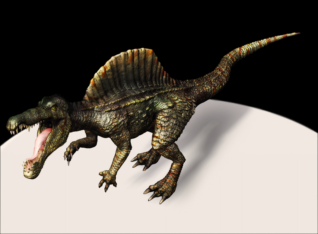 spino-pose2.jpg
