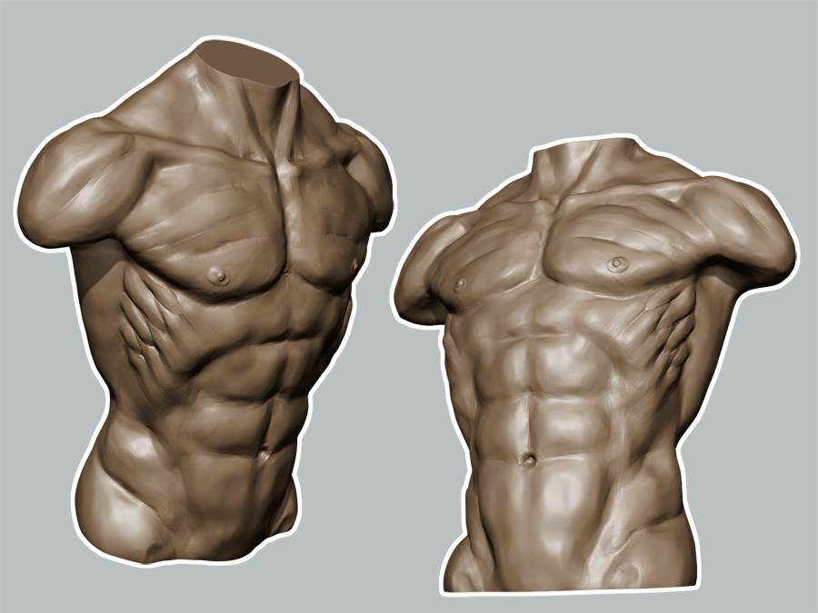 Torso_3Q_Views.jpg