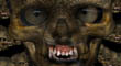 SKULLSPOTLIGHT 5.jpg
