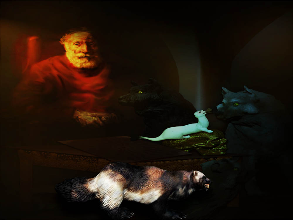 REMBRANDT WOLVES 5.jpg