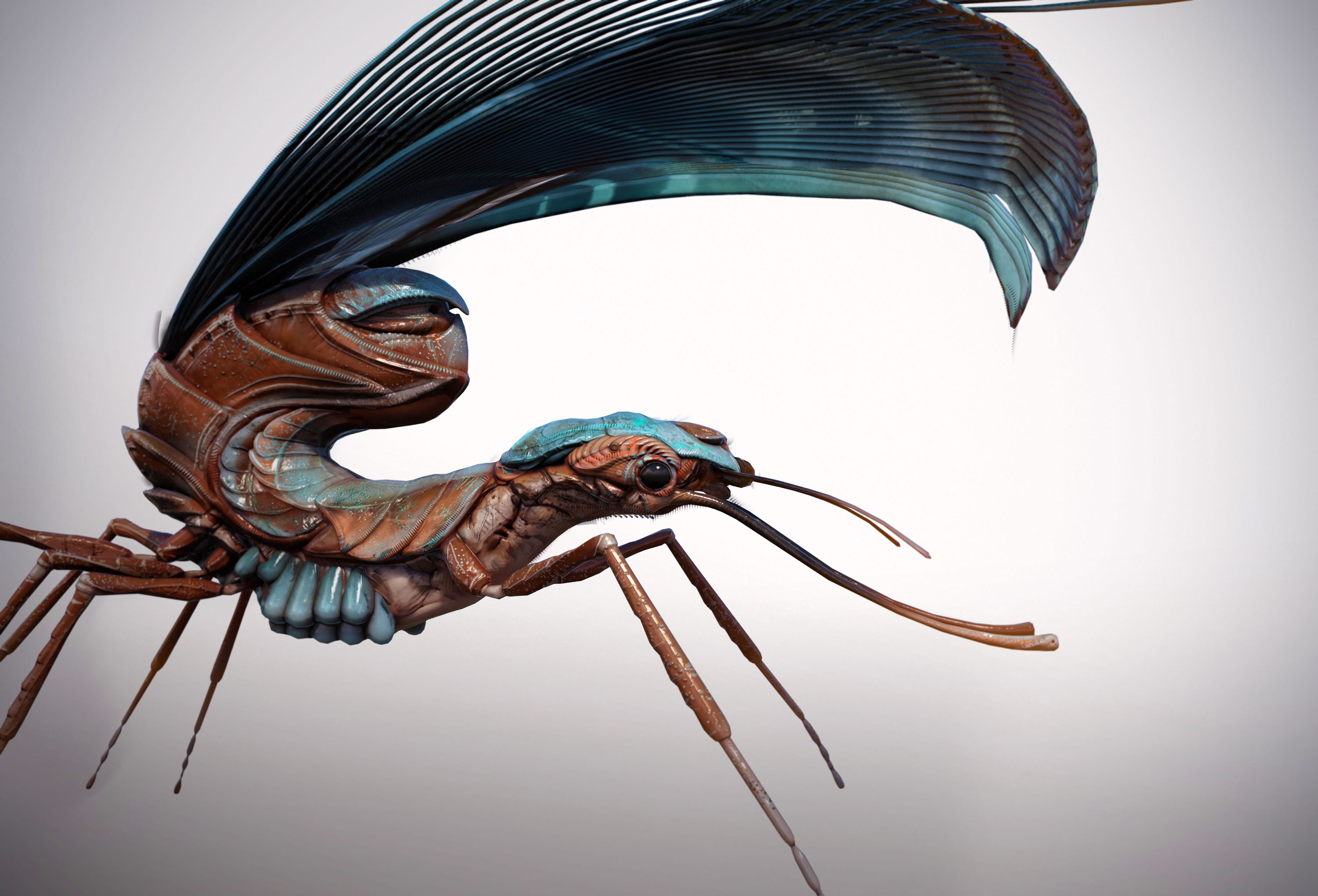 render01_05.jpg