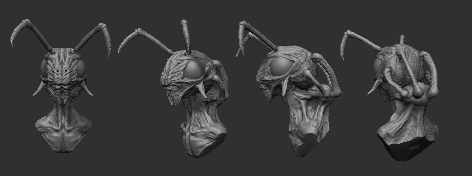 bugturnaround.jpg