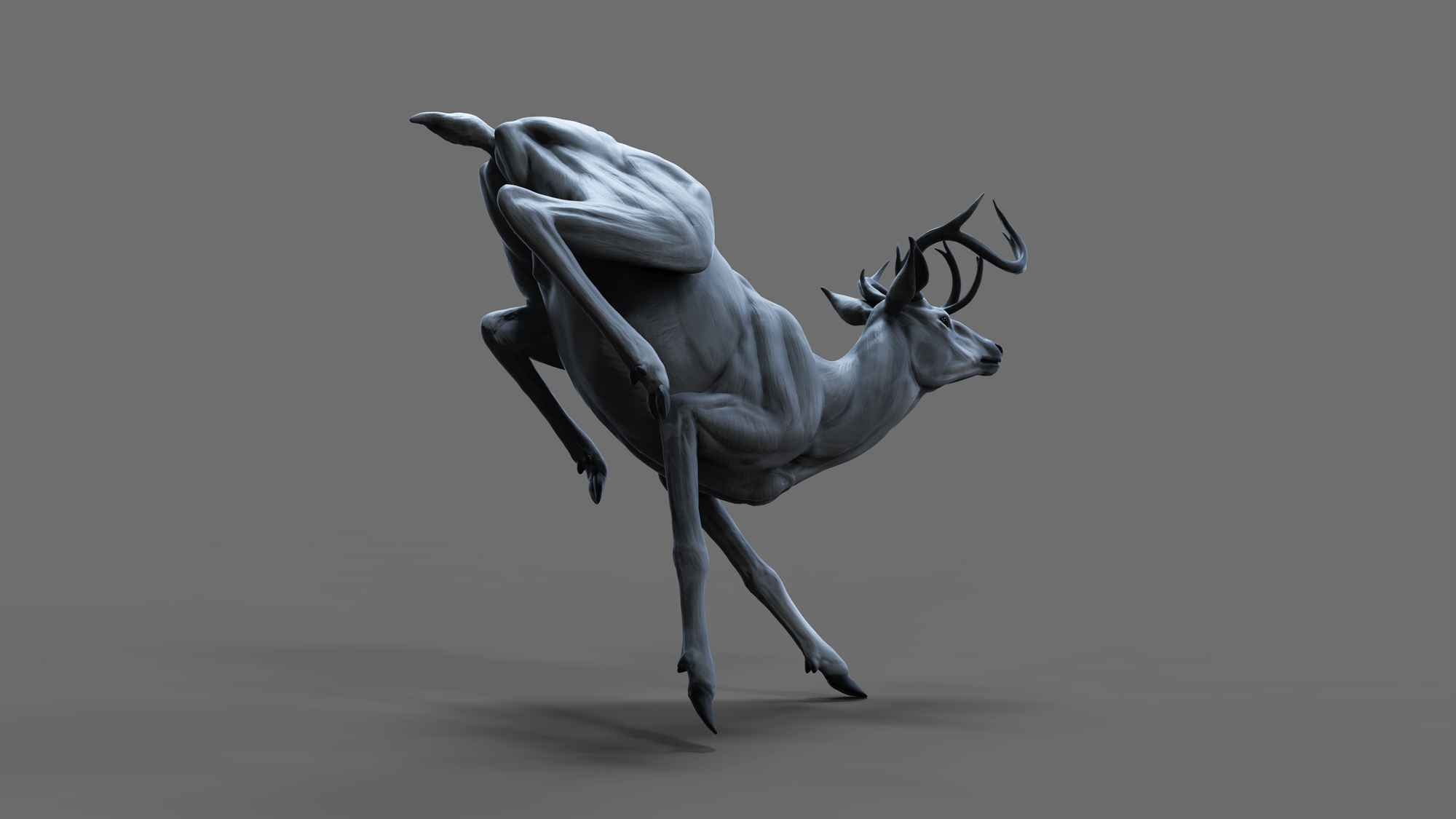deerposeComp03b.jpg