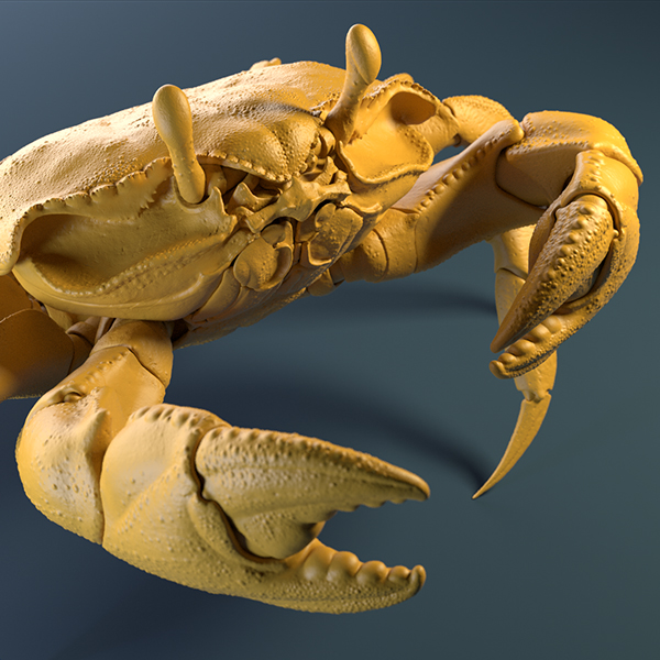 Crab_Yellow_Clay_Thumbnail.jpg