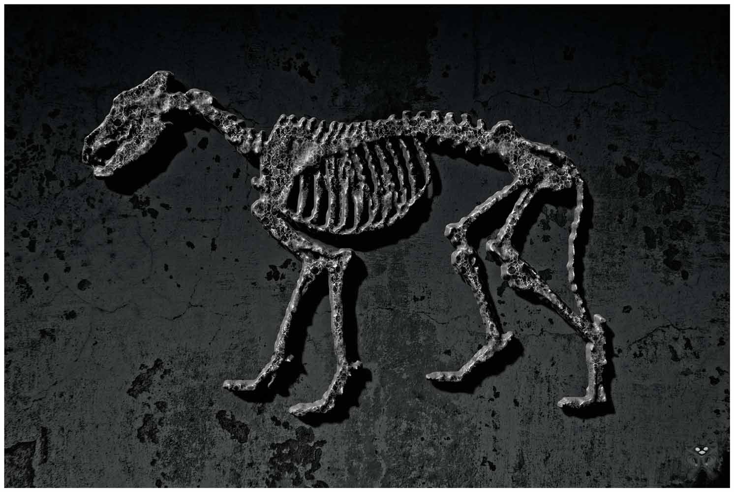 Wolfheightmap.jpg