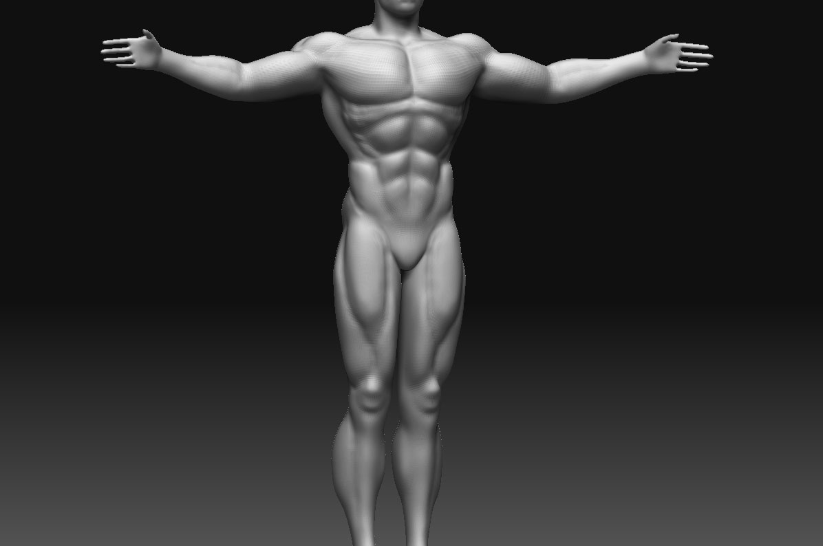 body2a.jpg