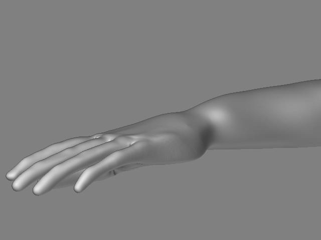 Hand Skin 1.JPG