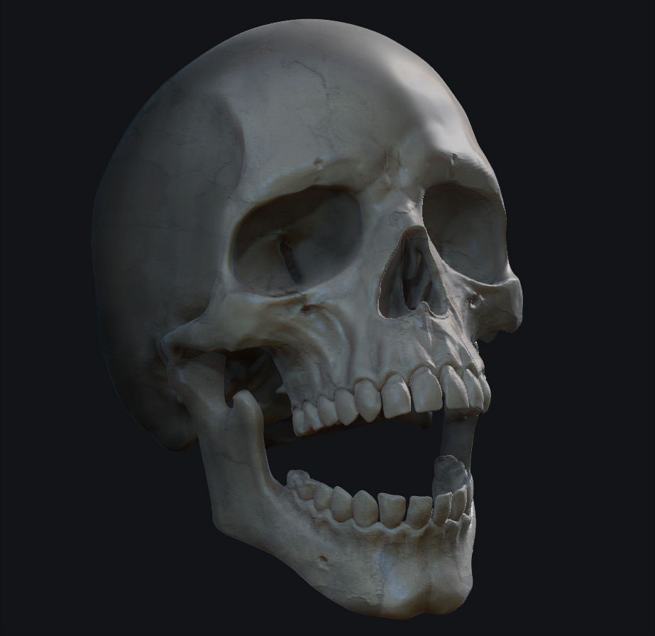 skullRender.jpg