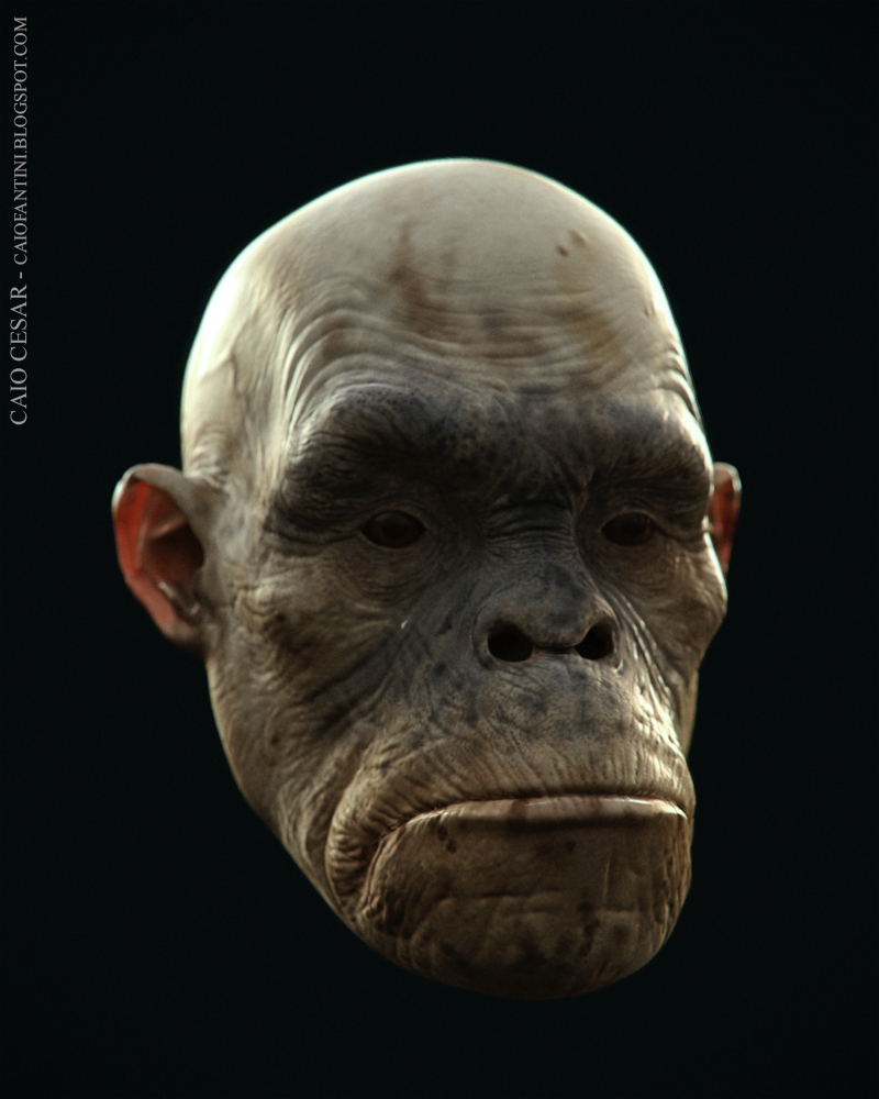 MACACO02teste