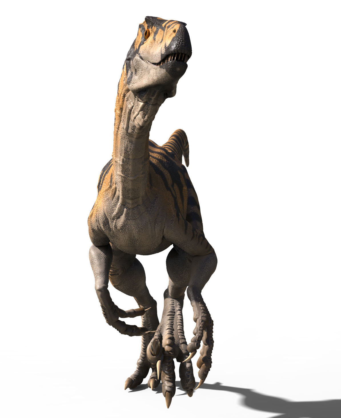 raptor scene.61.jpg