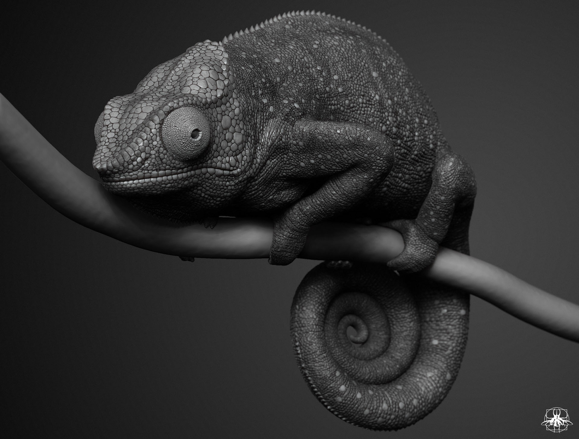 Chameleon_05.jpg