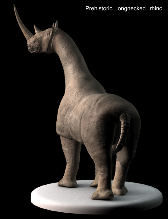longneckrhino.jpg