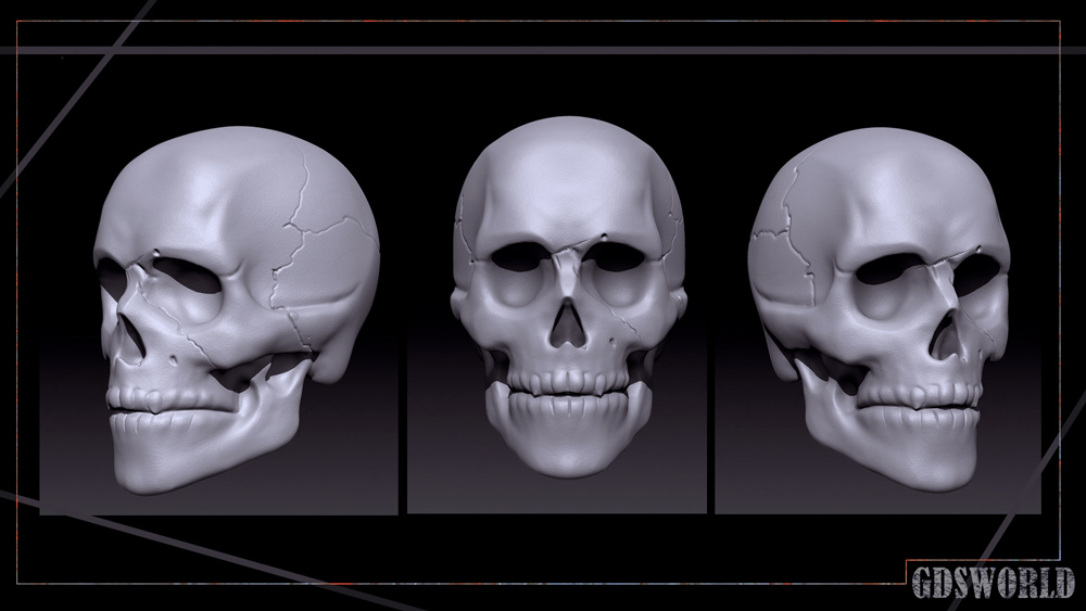 Skull_Study_Low.jpg