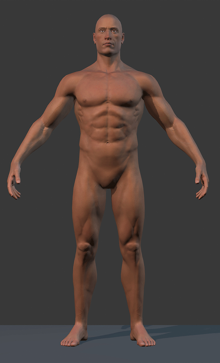 male-model02_0005.gif