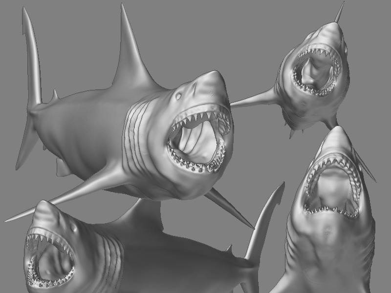 gills.jpg