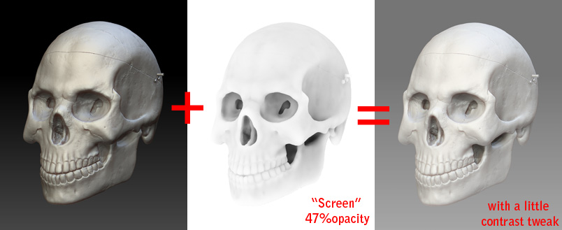 Skull_render_explenation.jpg