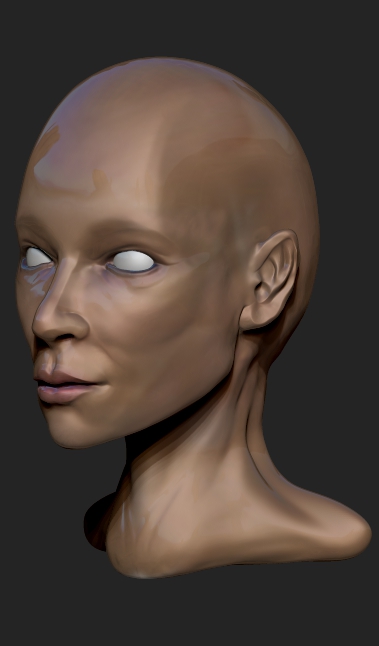 FEMALE ANATOMY retry28.jpg