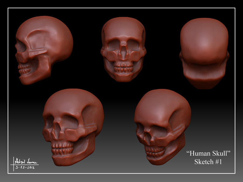 Human_Skull_Sketch_01.jpg