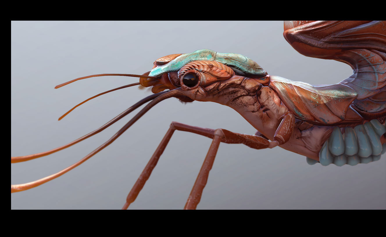 render01_06.jpg