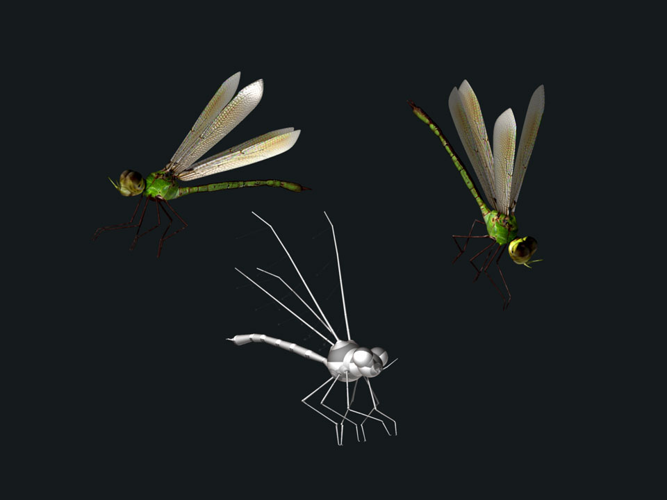 dragonfly-textured.jpg