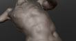 CLASSICAL TORSO 2.jpg