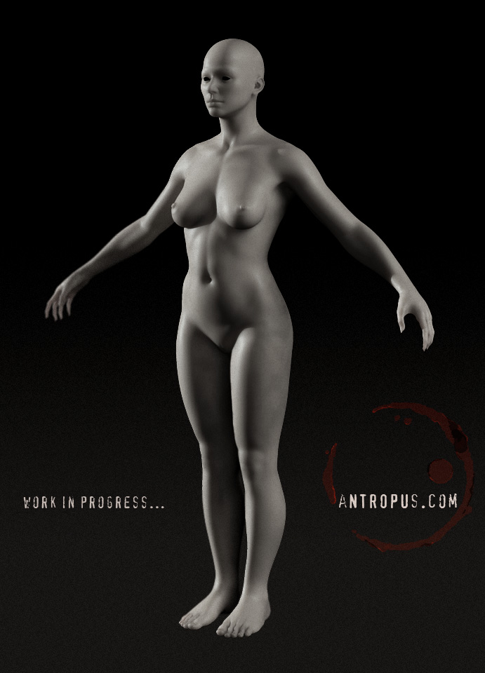 bodywip_001.jpg