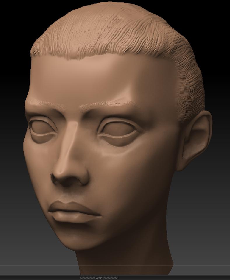 femaleheadfinal1.jpg