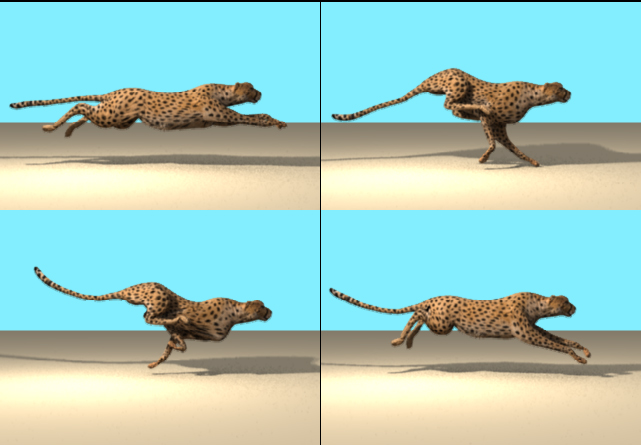 cheetah_06.jpg