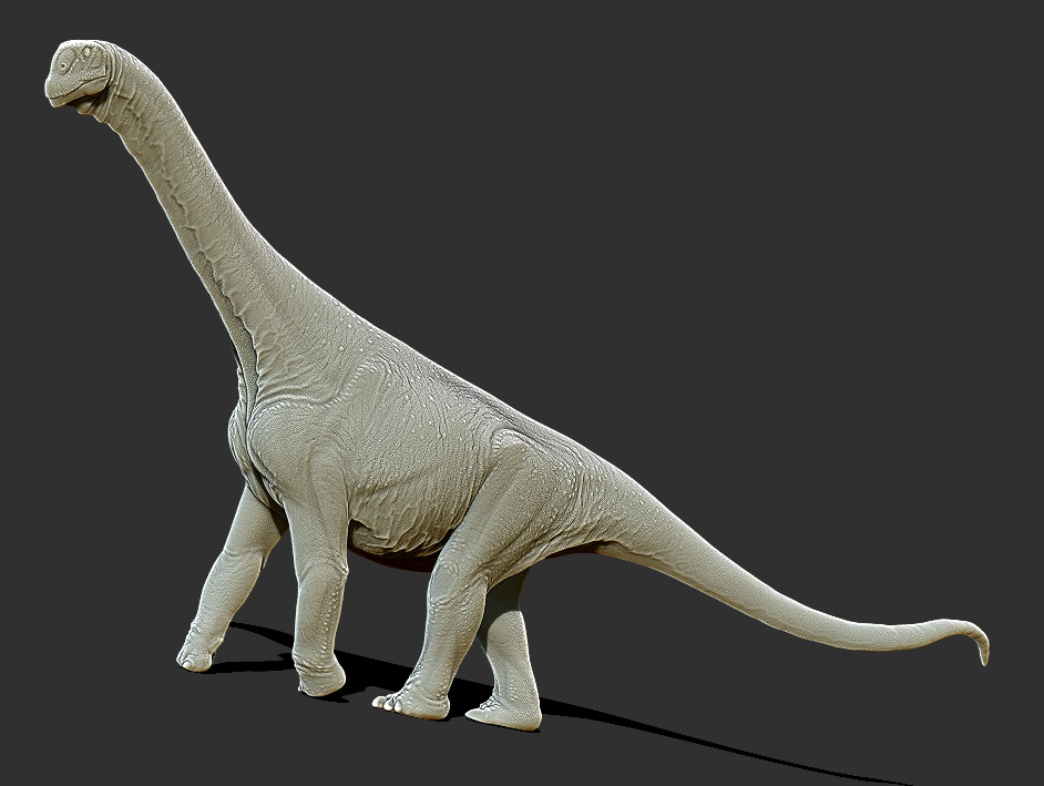 Camarasaurus6.jpg