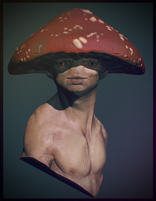 Toad.jpg