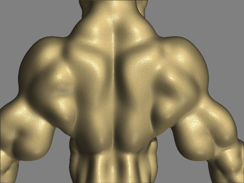 BackOfHim.jpg