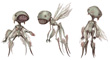 tooth_fairies_tm.jpg