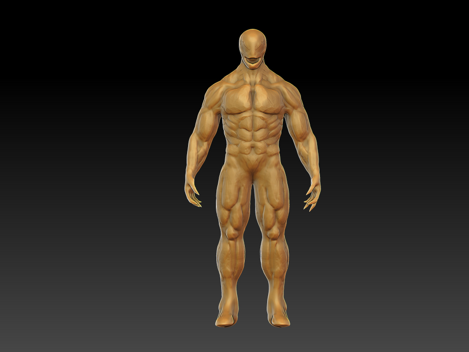New  muscular system #1.jpg