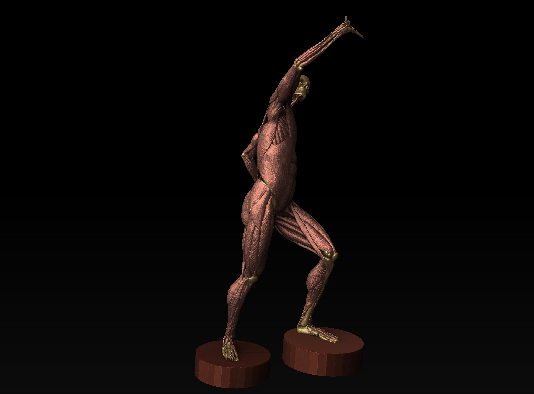 gesture_render_11.jpg