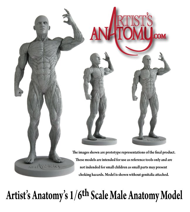 Artists Anatomy Web Pic.jpg