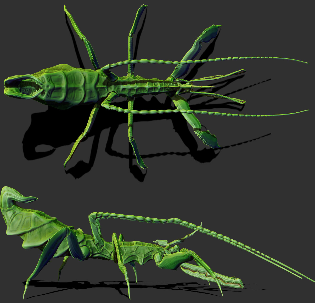 002wip.jpg
