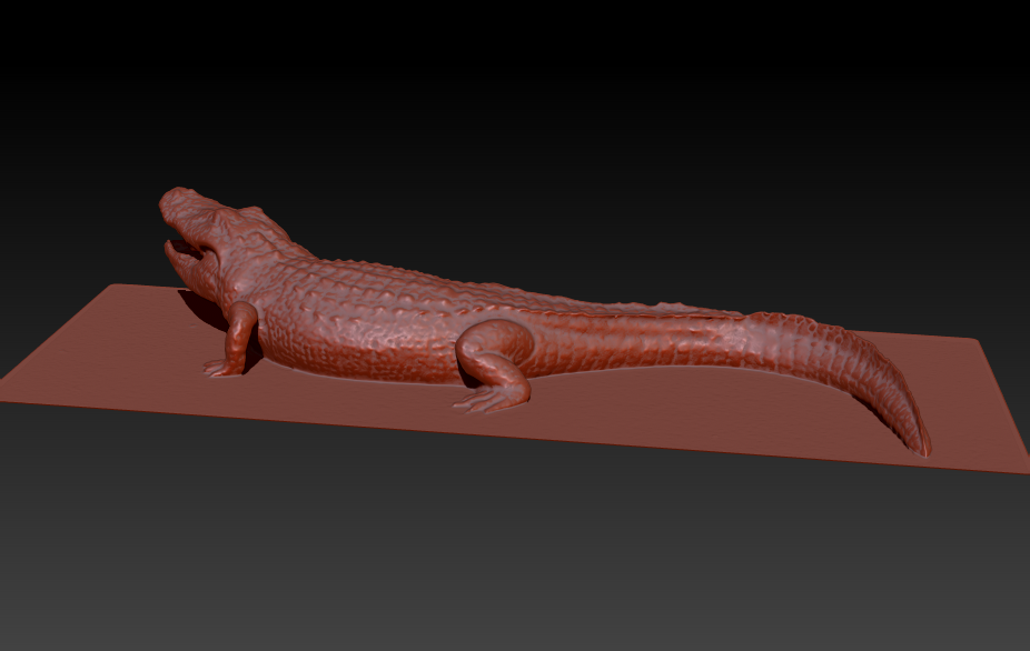 gator-plane.png